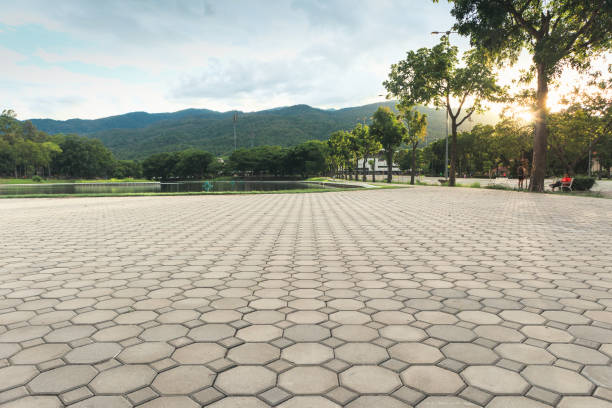 Best Driveway Pavers Near Me  in Oakfield, WI